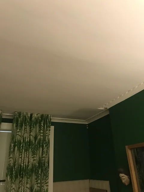 Decorative cornice and deep green wall finish